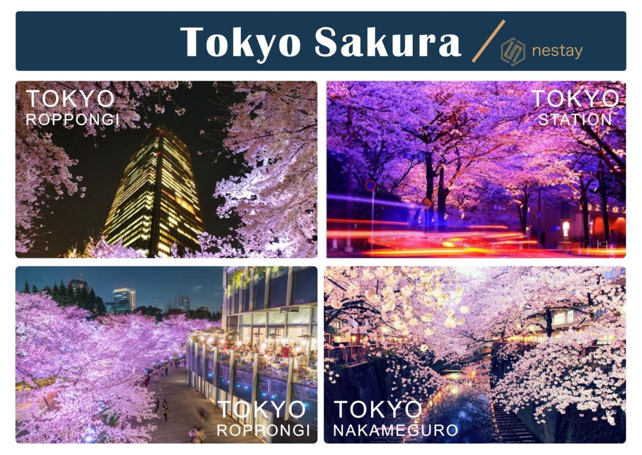 Nestay Villa Tokyo Otsuka ภายนอก รูปภาพ